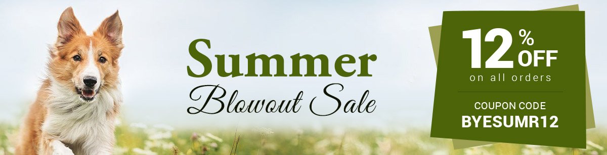 Summer Blowout Sale!