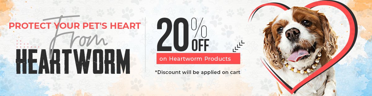 Heartworm Month Sale