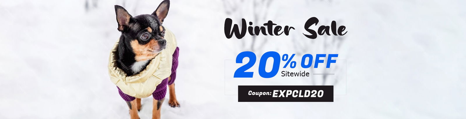 Winter Special Deals!