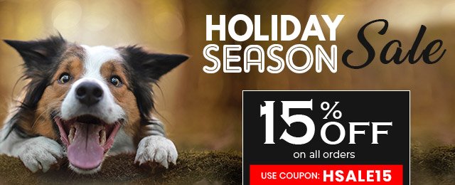 Holiday Bumper Sale!