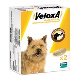 Veloxa for Dog Supplies