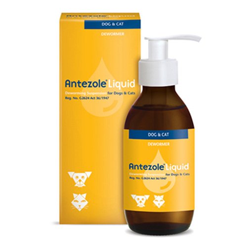 Antezole Liquid for Cats and Dogs