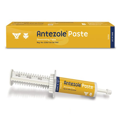 Antezole Paste for Dogs and Cats