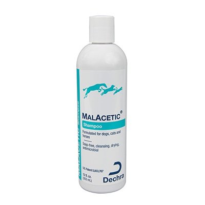 Malacetic Shampoo