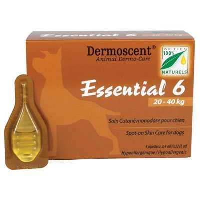 Essential 6  For Large Dogs 20-40kg