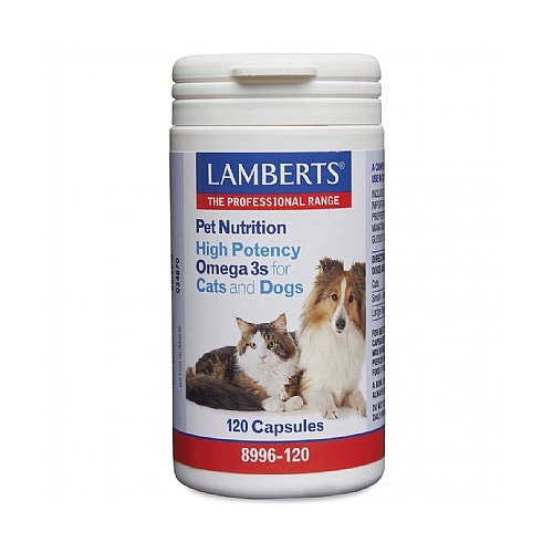 Lamberts High Potency Omega 3s for Dogs for Pet Health Care