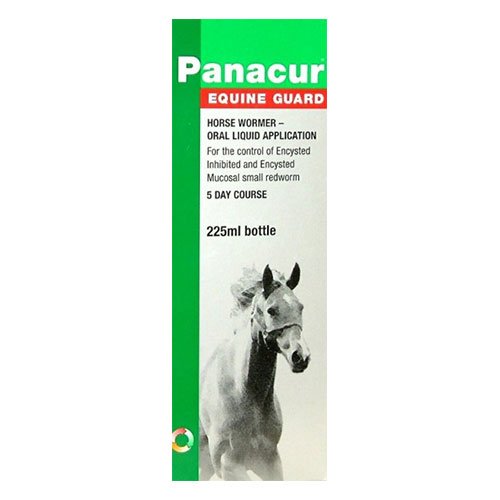 Panacur Equine Guard for Horse