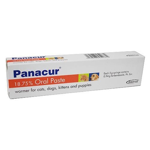 Panacur Oral Paste for Cats and Dogs