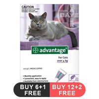 Advantage Cats over 10lbs (Purple)