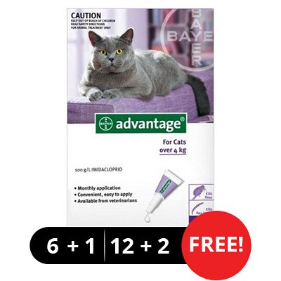 Advantage Cats over 10lbs (Purple)