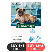 Advantage Medium Dogs 11-20lbs (Aqua)