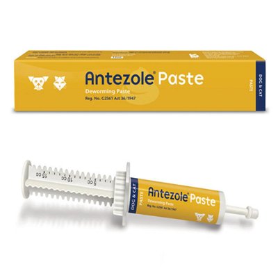 Antezole Paste for Dogs and Cats