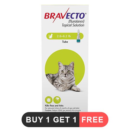 Bravecto Spot On for Cat Supplies