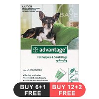 Advantage Small Dogs/ Pups 1-10lbs (Green)