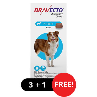Bravecto