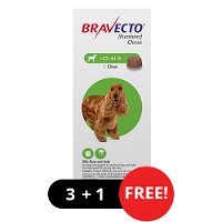 Bravecto for Medium Dogs 22- 44 lbs (Green)