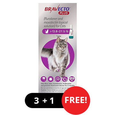 Bravecto Plus