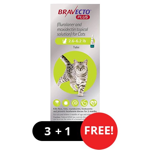 Bravecto Plus for Cat Supplies