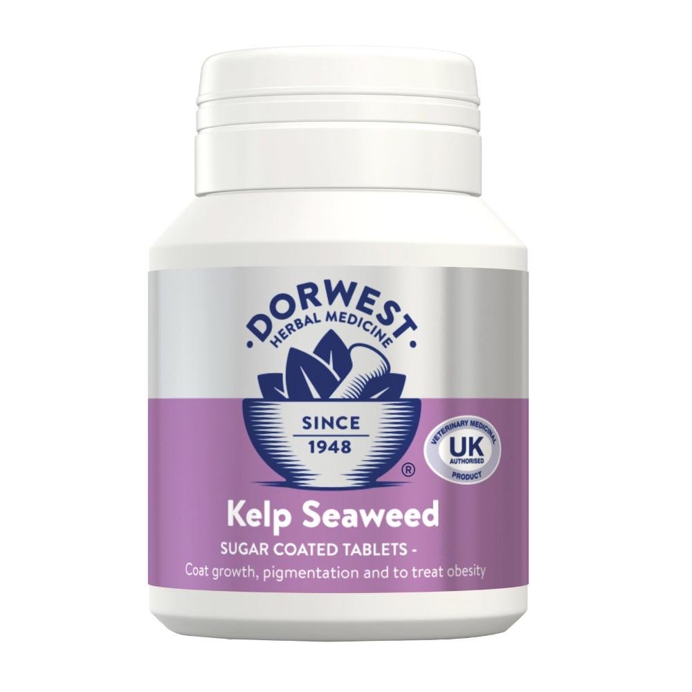 Dorwest Kelp Seaweed Tablets For Dogs And Cats for Dog Supplies