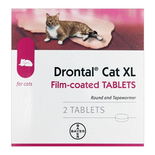 Drontal for Large Cats above 4Kg