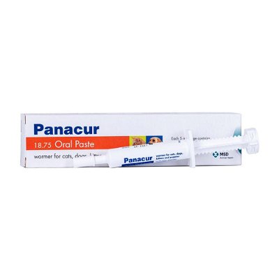 Panacur Oral Paste for Dogs and Cats