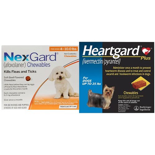 Nexgard & Heartgard Plus Combo