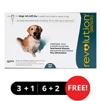 Revolution for Large Dogs 40.1-85lbs (Green)