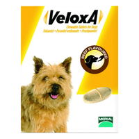 Veloxa for Dog Supplies